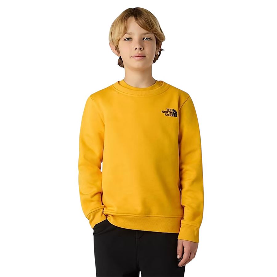  The North Face | NF0A89H756P